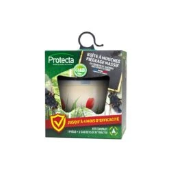 Boîte à Mouches : Piège écologique