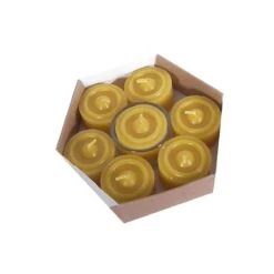 Boite De 7 Bougies + Support