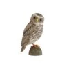 Décobird Chouette Chevêche -Maison Fournitures Magasin decobird chouette cheveche