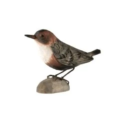 Decobird Cincle Plongeur