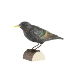 Decobird Etourneau Sansonnet