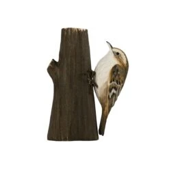 Décobird Grimpereau Des Jardins