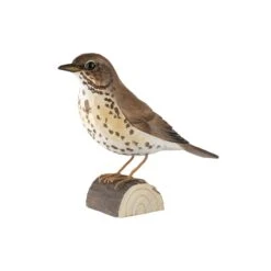 Decobird Grive Musicienne