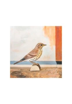 Decobird Grive Musicienne -Maison Fournitures Magasin decobird grive musicienne 3