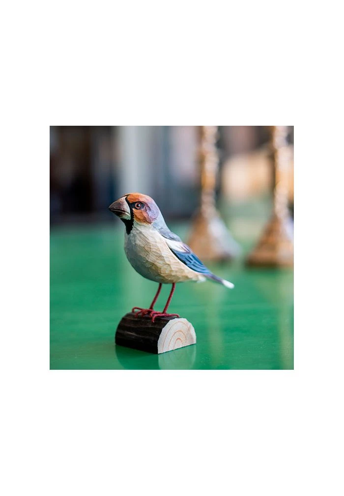 Decobird Gros Bec 4 Decobird Gros Bec â Image 2