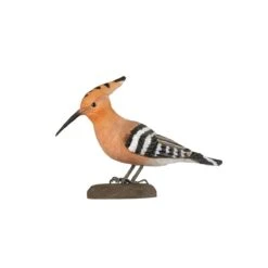 Décobird Huppe Fasciée