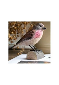 Décobird Linotte Mélodieuse -Maison Fournitures Magasin decobird linotte melodieuse 1