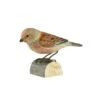 Décobird Linotte Mélodieuse -Maison Fournitures Magasin decobird linotte melodieuse