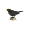 Decobird Merle Noir -Maison Fournitures Magasin decobird merle noir