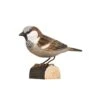 Decobird Moineau Domestique 2 Decobird Moineau Domestique -Maison Fournitures Magasin decobird moineau domestique