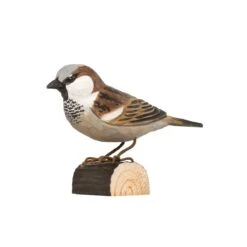 Decobird Moineau Domestique