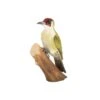 Decobird Pic Vert -Maison Fournitures Magasin decobird pic vert