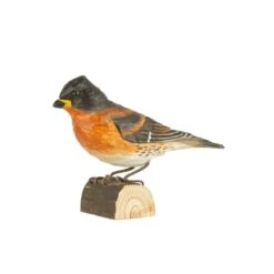 Décobird Pinson Du Nord