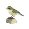 Décobird Pouillot Véloce -Maison Fournitures Magasin decobird pouillot veloce