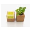 Grow Cube Aimanté Coriandre -Maison Fournitures Magasin grow cube aimante coriandre
