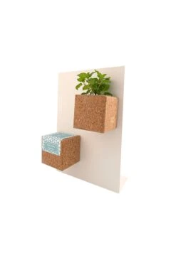 Grow Cube Aimanté Sapin De Noël - Boite Verte -Maison Fournitures Magasin grow cube aimante sapin de noel boite verte 2