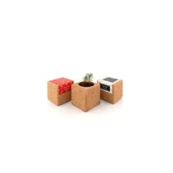 Grow Cube Aimanté Sapin De Noël - Boite Verte