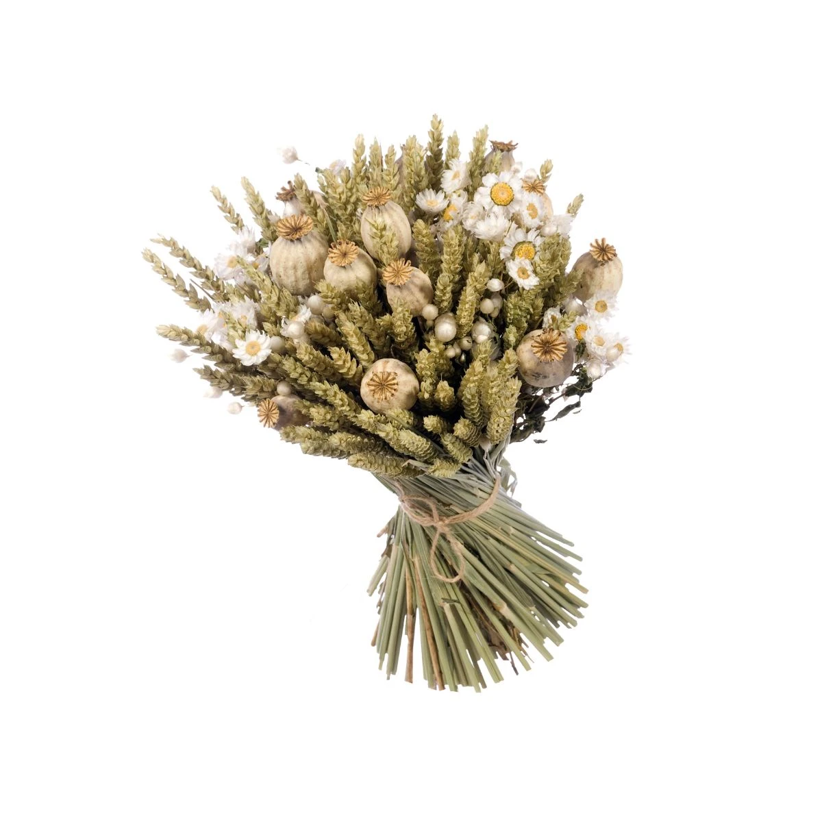 Kit à Composer - Bouquet De Fleurs Séchées - Blanc 4 Kit à Composer - Bouquet De Fleurs Séchées - Blanc – Image 2