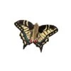 Magnet Papillon Machaon 1 Magnet Papillon Machaon -Maison Fournitures Magasin magnet papillon machaon