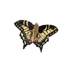 Magnet Papillon Machaon