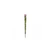 Rose En Tige Stabilisée Coloris Lilas 2 Rose En Tige Stabilisée Coloris Lilas -Maison Fournitures Magasin rose en tige stabilisee coloris lilas