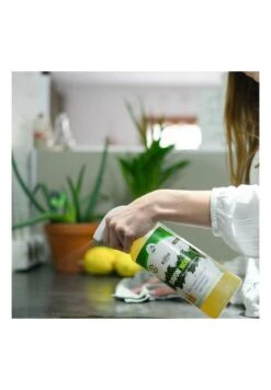 Savon Noir Liquide - Pulvérisateur 1L -Maison Fournitures Magasin savon noir liquide 1 litre pret a l emploi 2