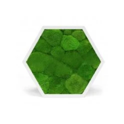 Tableau Stabilisé Hexagonal Mousse