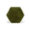 Tableau Stabilisé Hexagonal Mousse Vert Foncé 2 Tableau Stabilisé Hexagonal Mousse Vert Foncé -Maison Fournitures Magasin tableau stabilise hexagonal mousse vert fonce