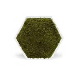 Tableau Stabilisé Hexagonal Mousse Vert Foncé