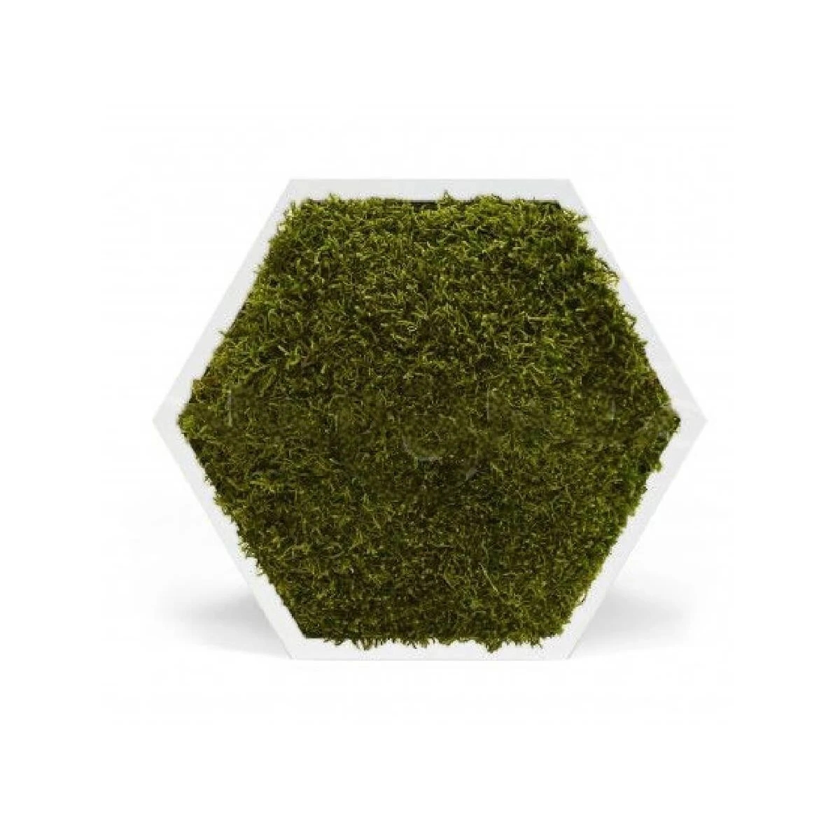 Tableau Stabilisé Hexagonal Mousse Vert Foncé 3 Tableau Stabilisé Hexagonal Mousse Vert Foncé