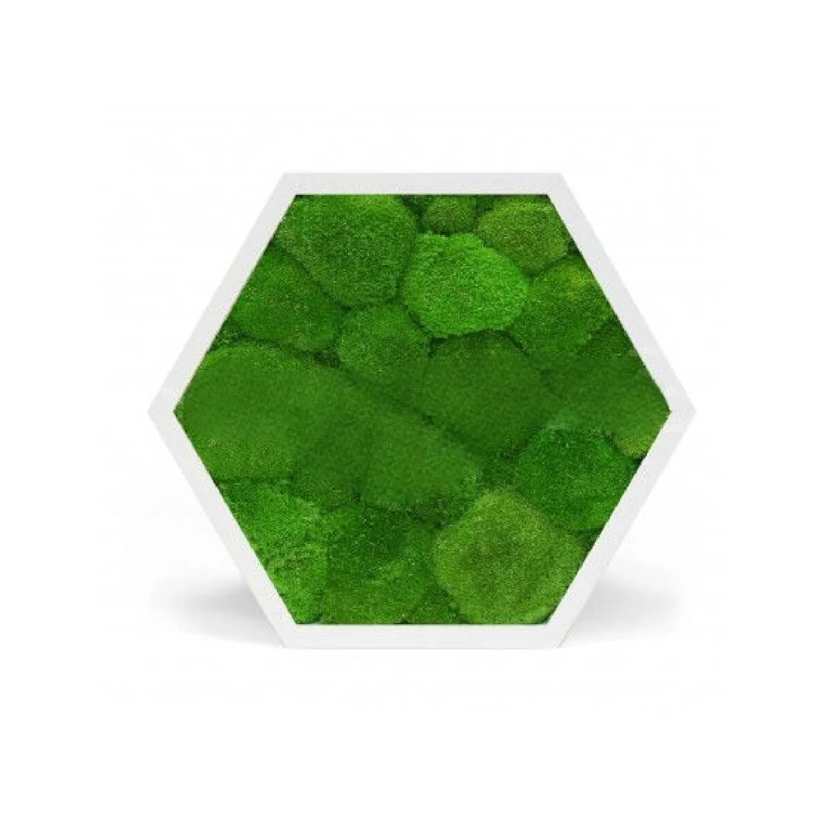 Tableau Stabilisé Hexagonal Mousse 3 Tableau Stabilisé Hexagonal Mousse