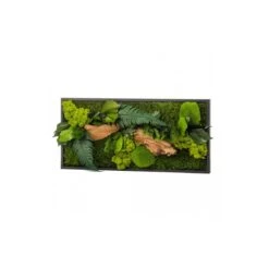 Tableau Végétal CANOPEE Rectangle 27 X 57 Cm