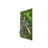 Tableau Végétal Gamme Nature, Rectangle XL 60 X 100 Cm -Maison Fournitures Magasin tableau vegetal gamme nature rectangle xl 60 x100 cm