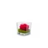 Verrine Genova 10 Cm Rose Stabilisée 1 Verrine Genova 10 Cm Rose Stabilisée -Maison Fournitures Magasin verrine genova 10 cm rose stabilisee